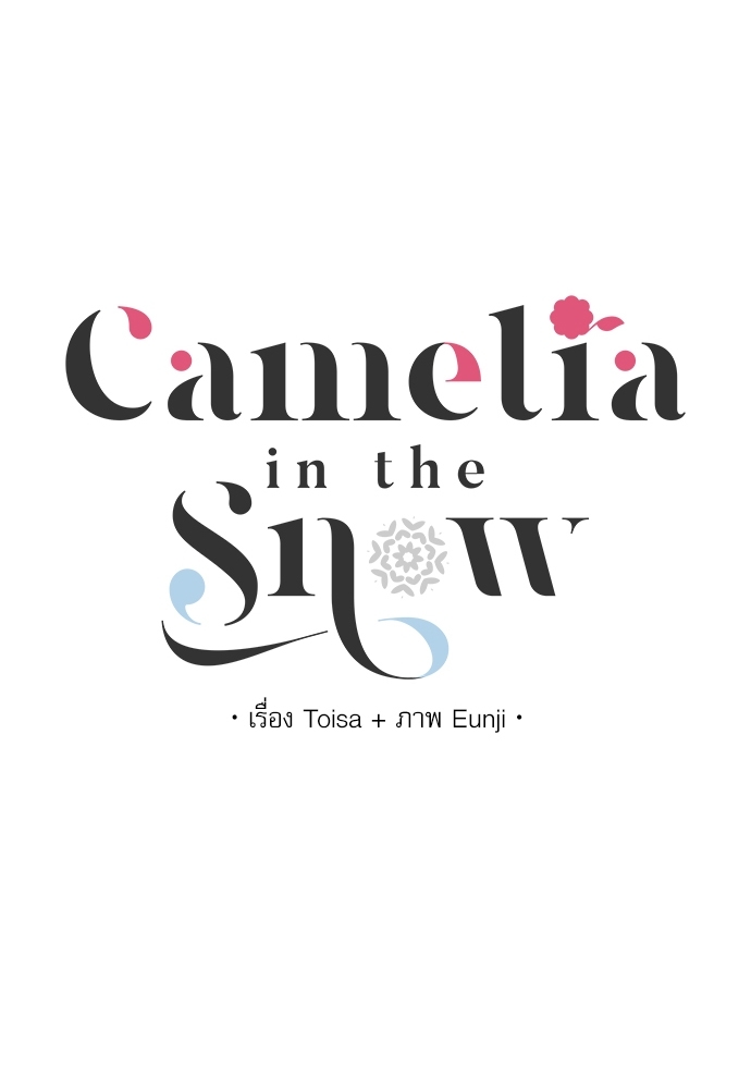 Camelia in the Snow 4 01